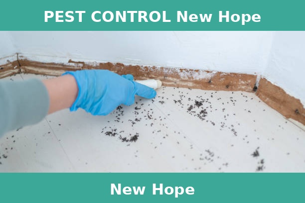 PEST CONTROL New Hope